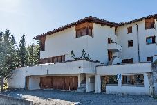Ferienwohnung in Celerina/Schlarigna - Chesa Sarvit 2 - Celerina