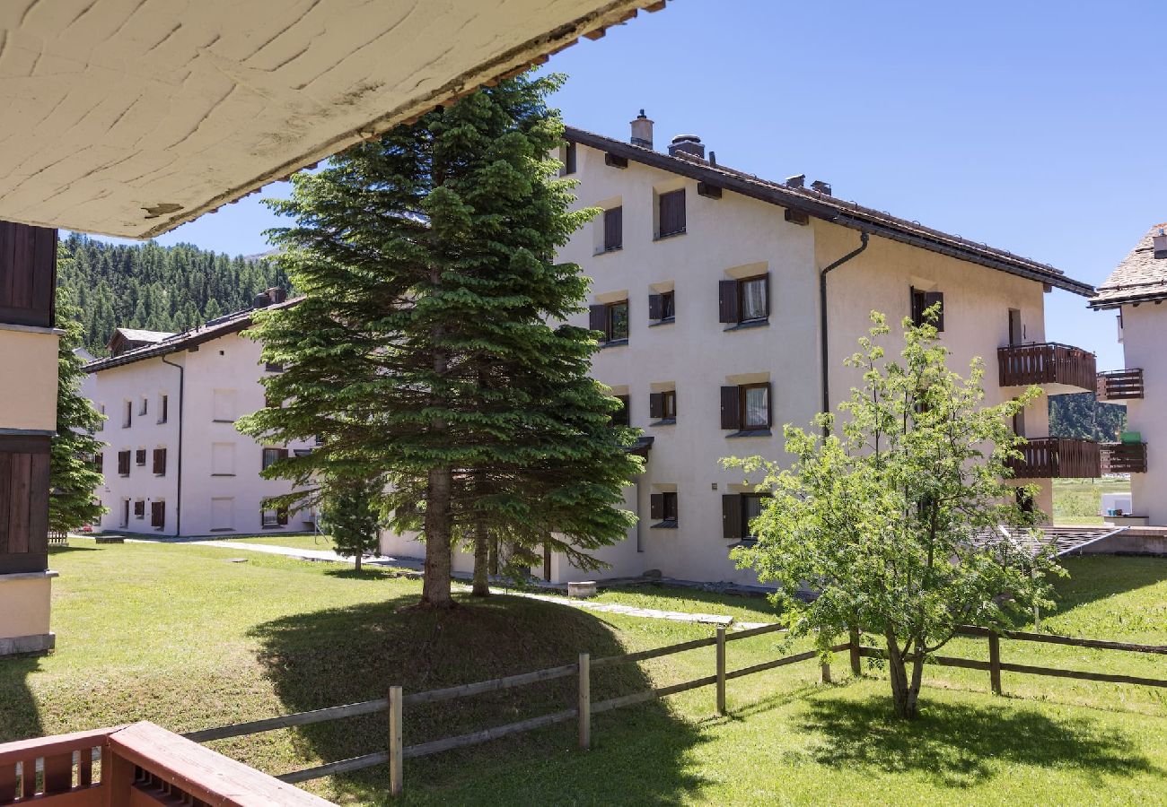 Apartment in Celerina/Schlarigna - Chesa La Giunfra - Celerina Apartment in Celerina/Schlarigna - Chesa La Giunfra - Celerina