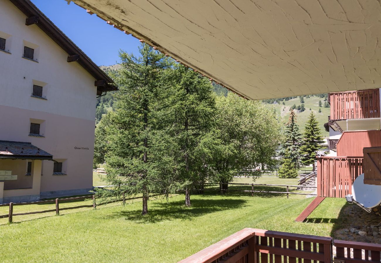 Apartment in Celerina/Schlarigna - Chesa La Giunfra - Celerina Apartment in Celerina/Schlarigna - Chesa La Giunfra - Celerina