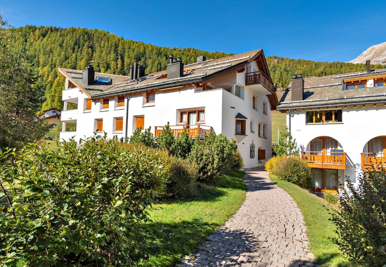 Apartment in Celerina/Schlarigna - Chesa Foulla Rosa - Celerina