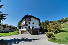 Apartment in Celerina/Schlarigna - Chesa Piz Padella - Celerina