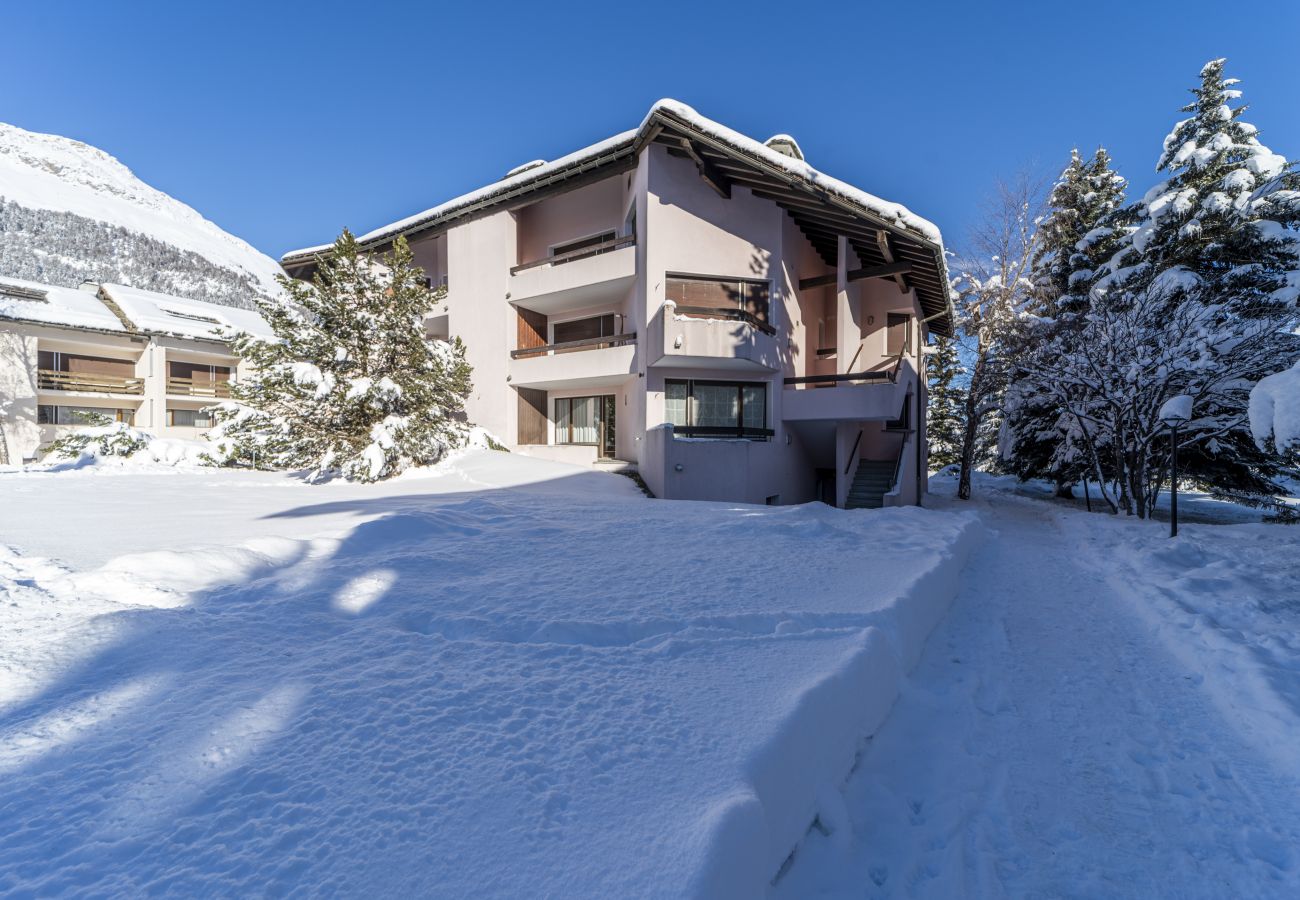 Apartment in Celerina/Schlarigna - Chesa Pradatsch Suot 5 - Celerina Apartment in Celerina/Schlarigna - Chesa Pradatsch Suot 5 - Celerina