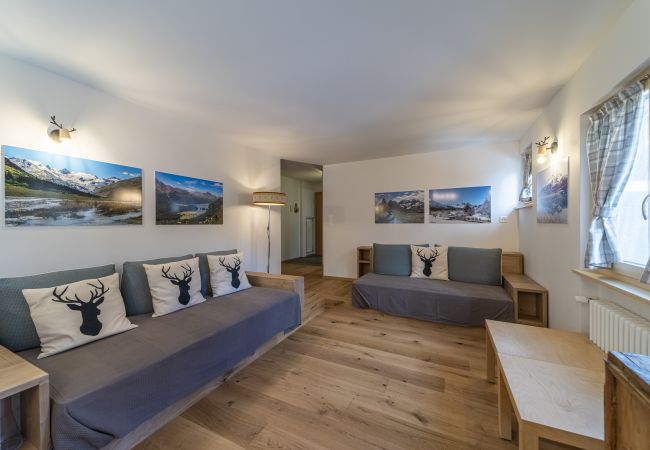 Apartment in Celerina/Schlarigna - Chesa Al Munt  two bedrooms - Celerina Apartment in Celerina/Schlarigna - Chesa Al Munt  two bedrooms - Celerina