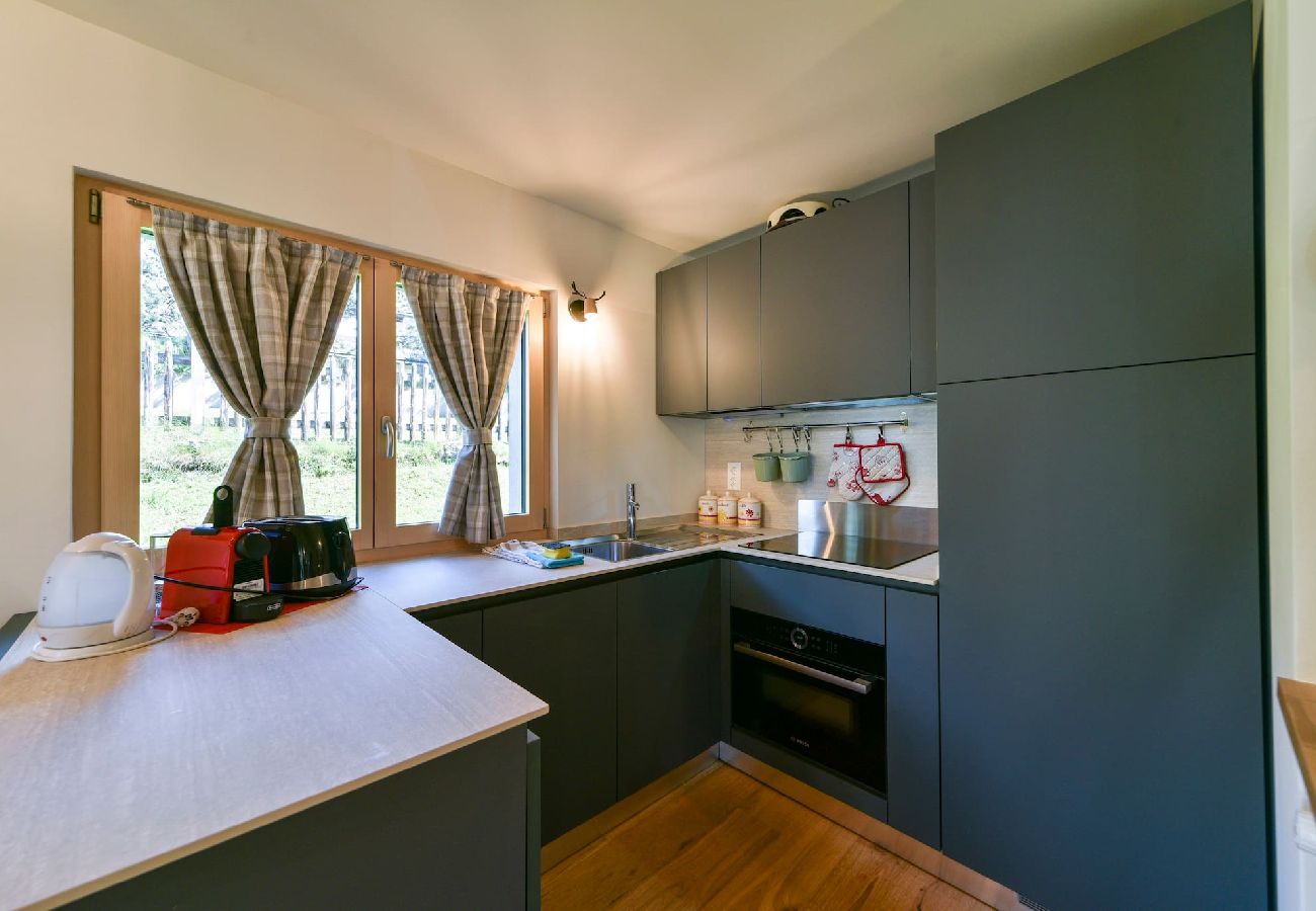 Apartment in Celerina/Schlarigna - Chesa Al Munt  two bedrooms - Celerina Apartment in Celerina/Schlarigna - Chesa Al Munt  two bedrooms - Celerina