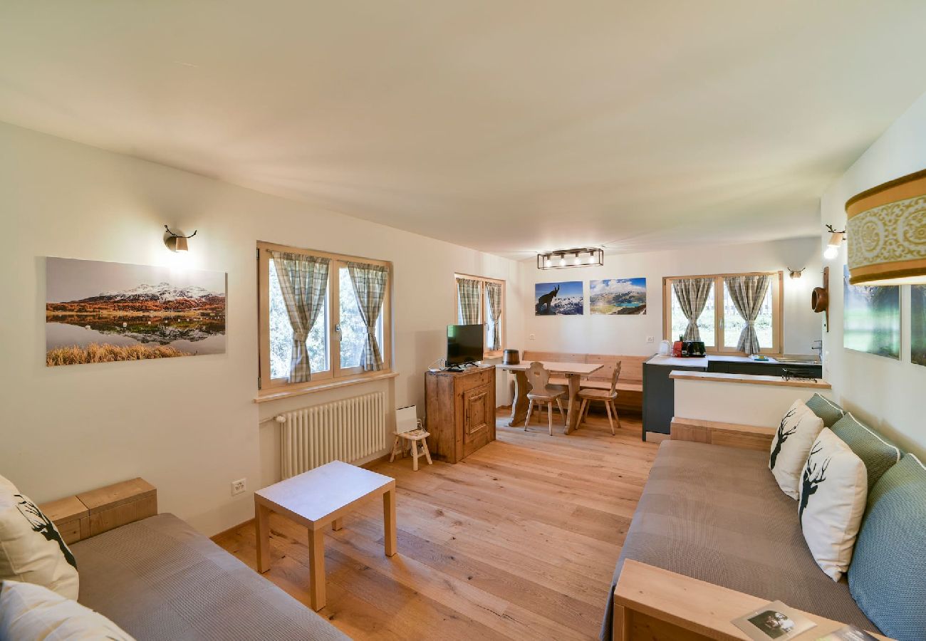Apartment in Celerina/Schlarigna - Chesa Al Munt  two bedrooms - Celerina Apartment in Celerina/Schlarigna - Chesa Al Munt  two bedrooms - Celerina