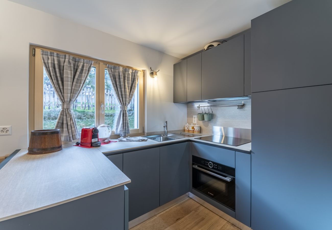 Apartment in Celerina/Schlarigna - Chesa Al Munt  two bedrooms - Celerina Apartment in Celerina/Schlarigna - Chesa Al Munt  two bedrooms - Celerina
