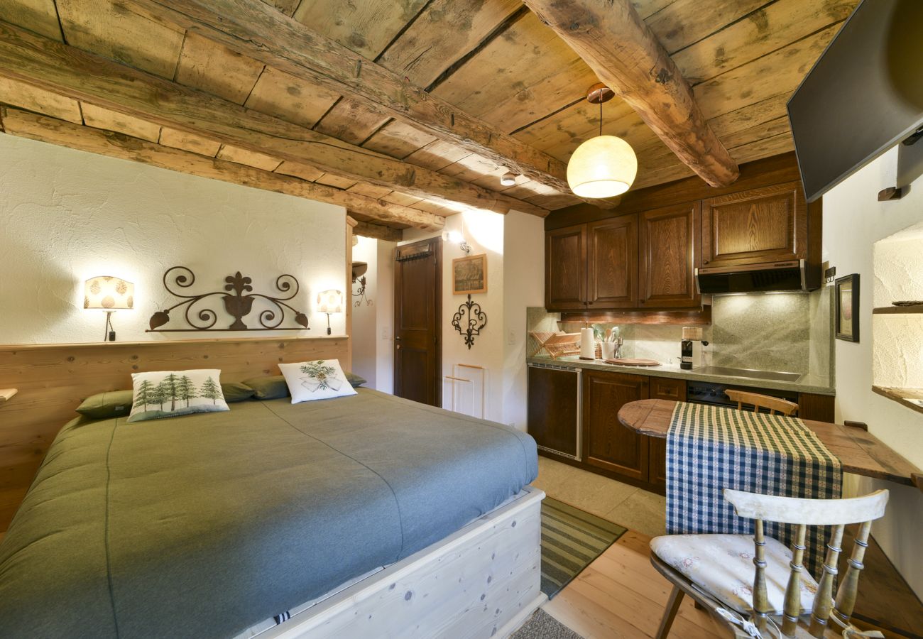 Studio in Celerina/Schlarigna - Chesa Crasta - Celerina Studio in Celerina/Schlarigna - Chesa Crasta - Celerina