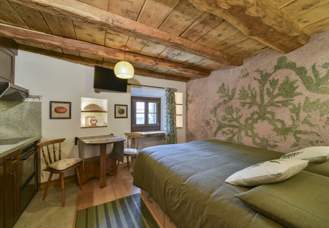Studio in Celerina/Schlarigna - Chesa Crasta - Celerina Studio in Celerina/Schlarigna - Chesa Crasta - Celerina