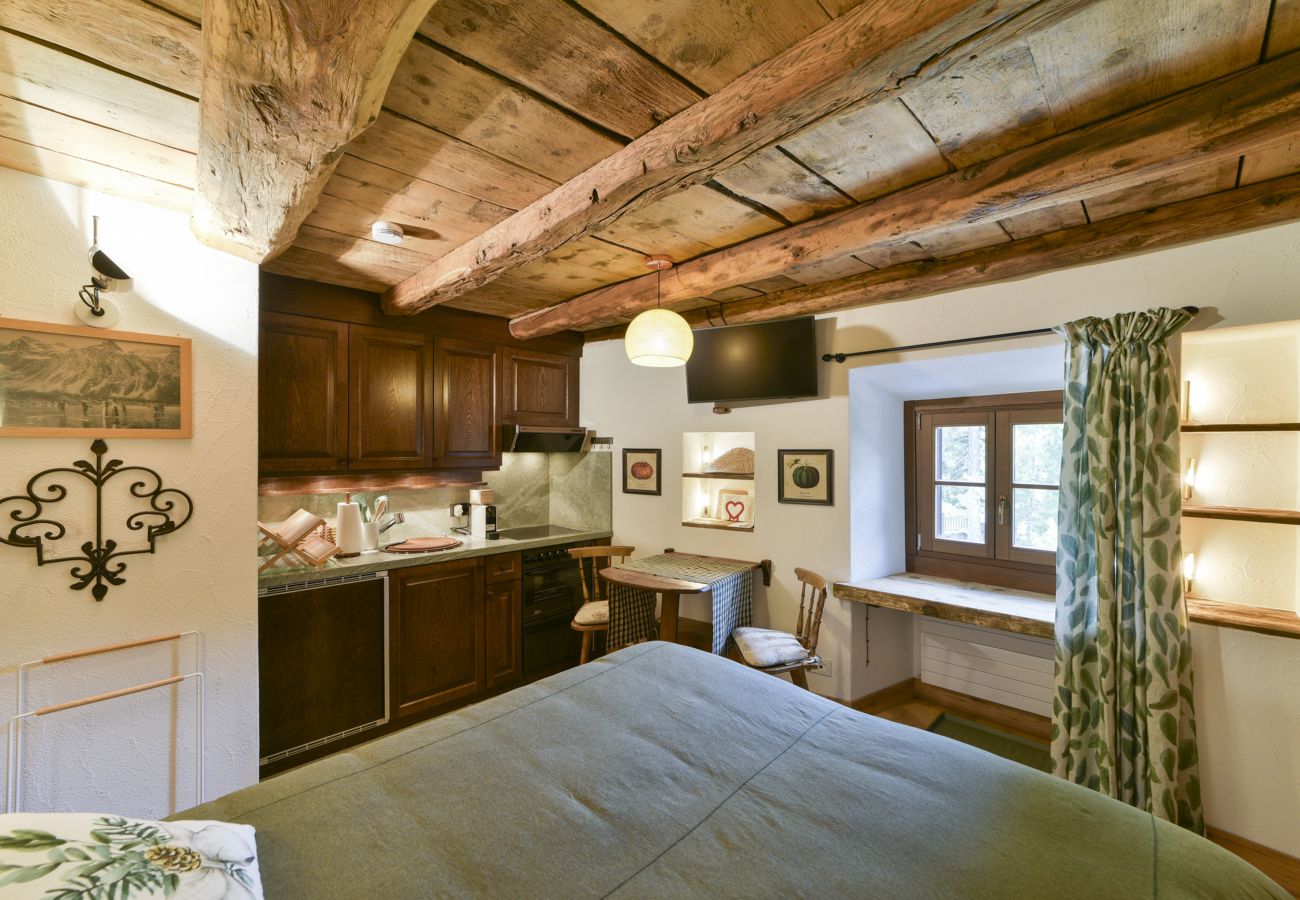 Studio in Celerina/Schlarigna - Chesa Crasta - Celerina Studio in Celerina/Schlarigna - Chesa Crasta - Celerina