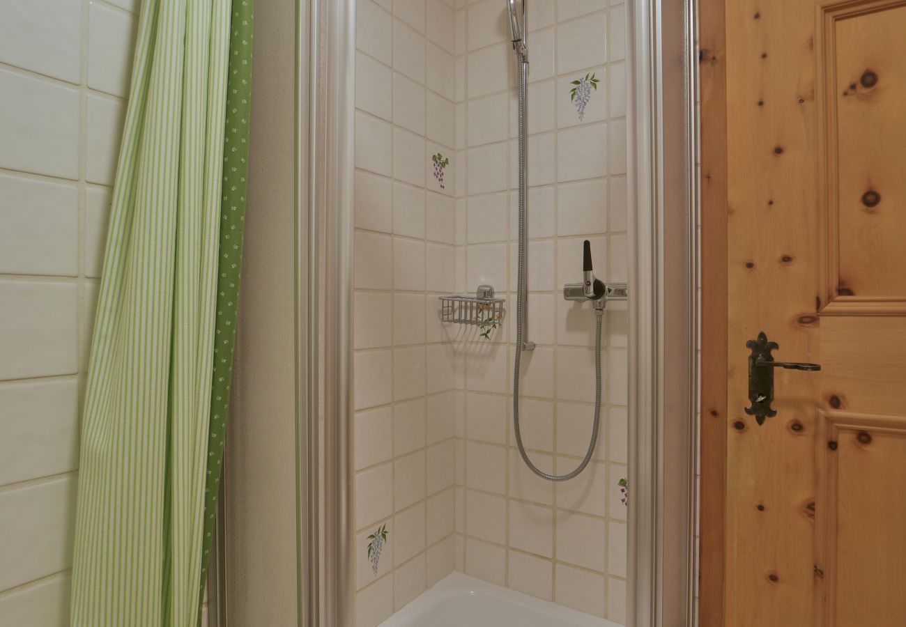 Apartment in Celerina/Schlarigna - Chesa Spedlas - Celerina Apartment in Celerina/Schlarigna - Chesa Spedlas - Celerina