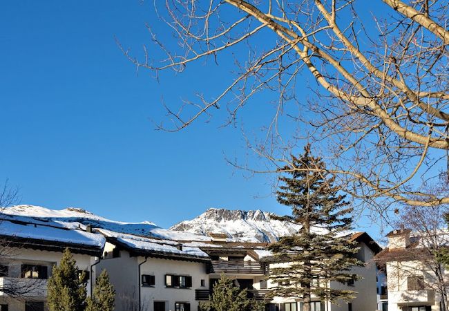 Appartement à Celerina/Schlarigna - Chesa Chavriol - Celerina Appartement à Celerina/Schlarigna - Chesa Chavriol - Celerina