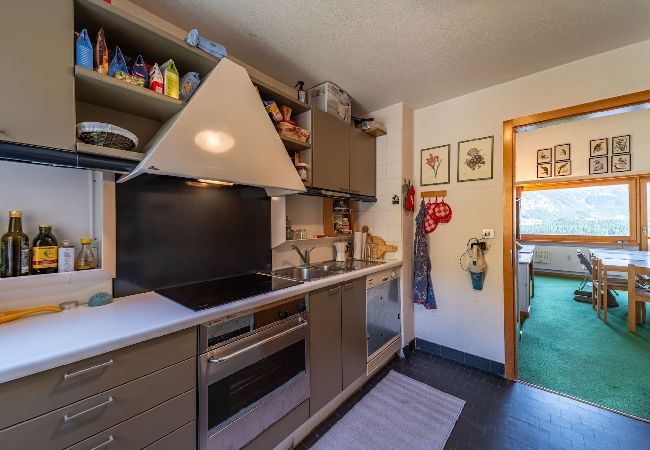 Appartement à Celerina/Schlarigna - Chesa La Drosa - Celerina Appartement à Celerina/Schlarigna - Chesa La Drosa - Celerina